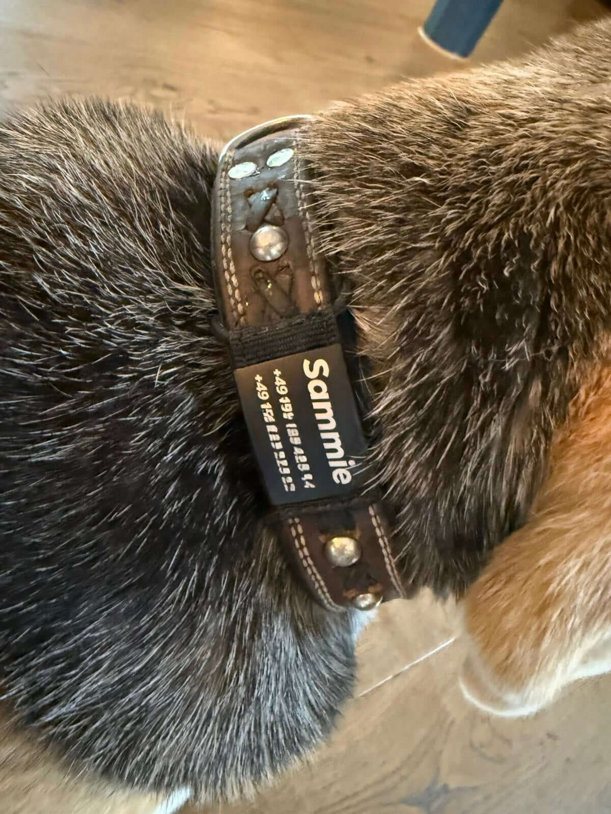 Lautlose Hundemarke mit Gravur (rosé-goldfarben)