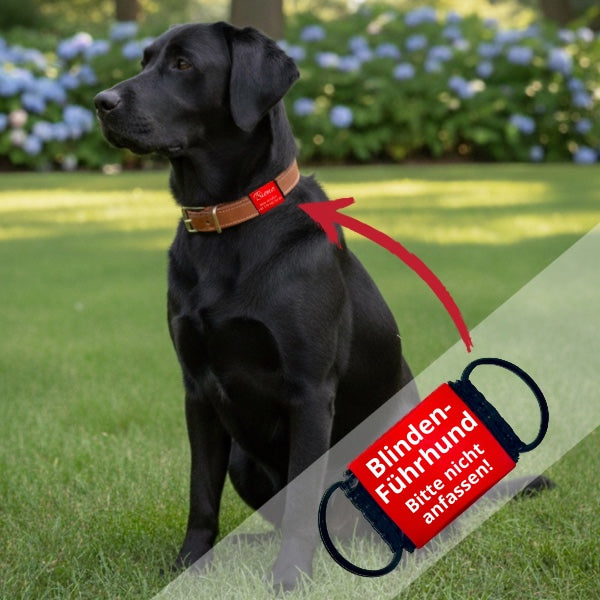 Blinden-Führhund Hinweis-Hundemarke – lautlose | Rot