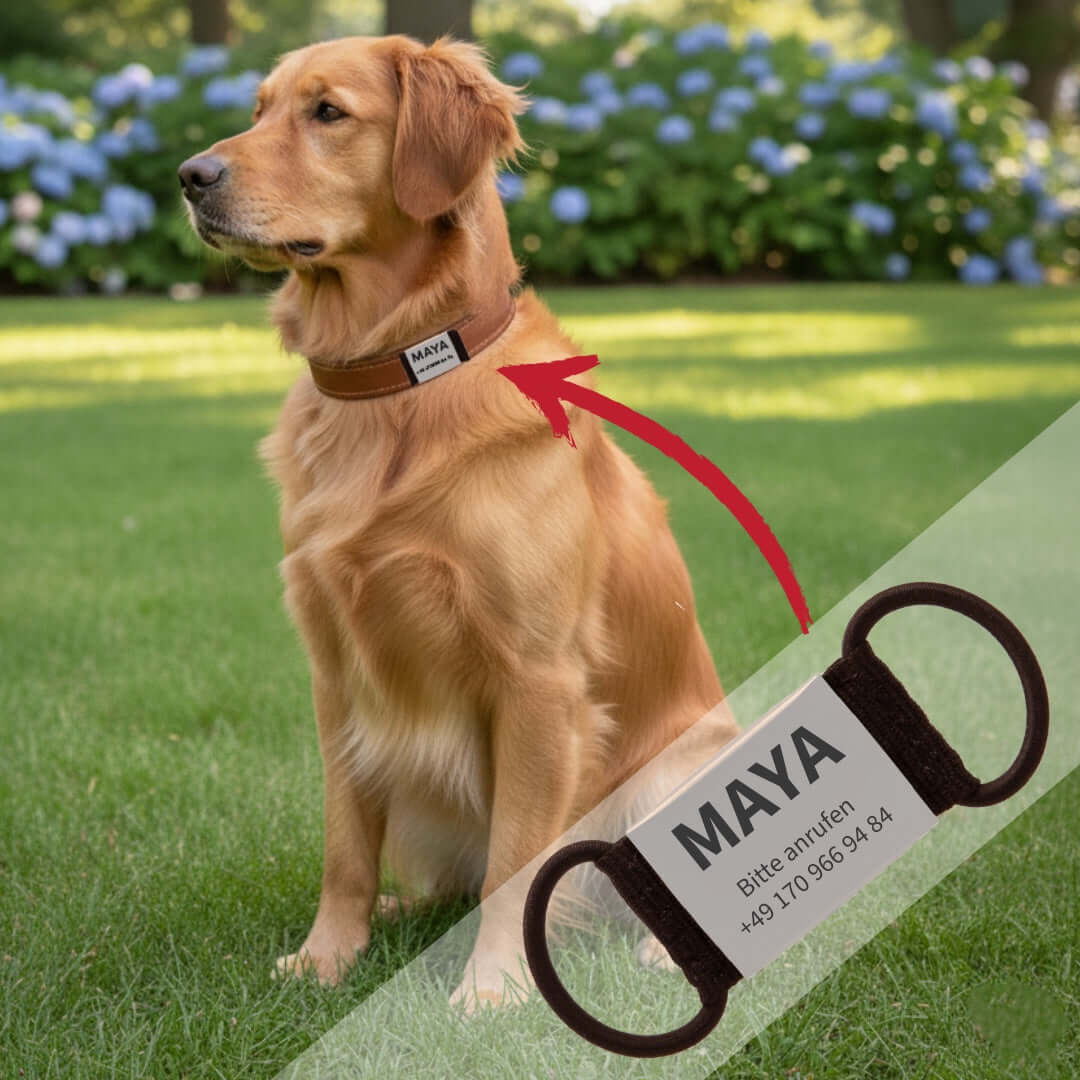 Lautlose Hundemarke mit Gravur (grau)