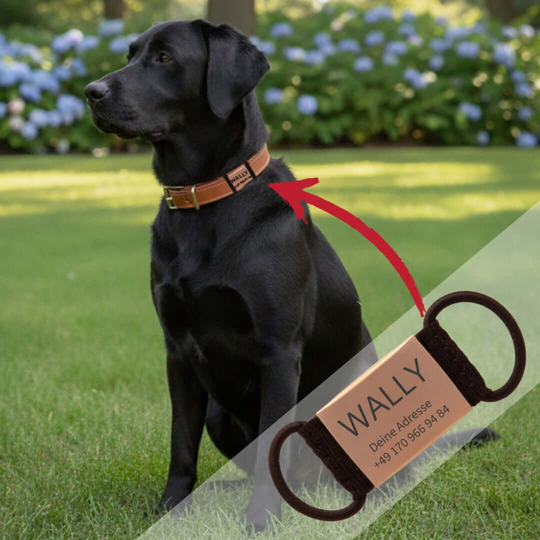 Lautlose Hundemarke mit Gravur (rosé-goldfarben)