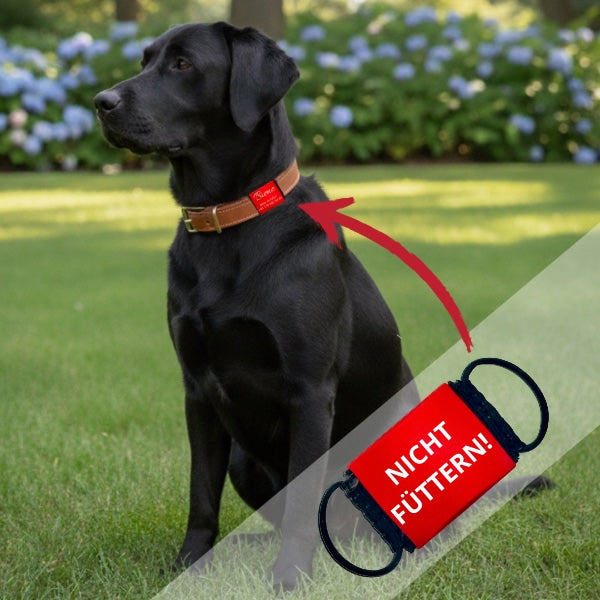 Lautlose Hinweis-Hundemarke "Nicht füttern"