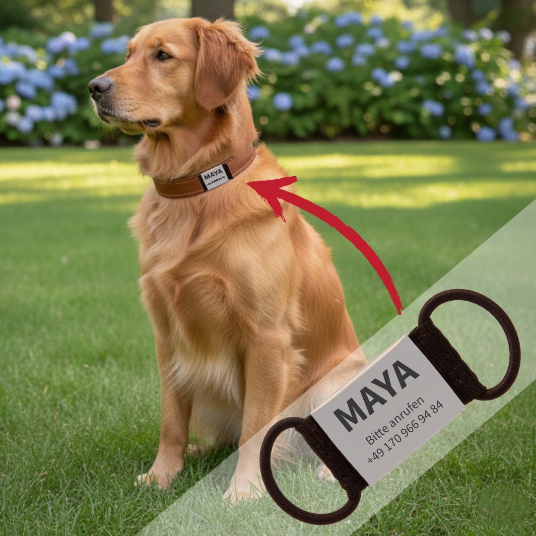 Lautlose Hundemarke mit Gravur (grau)