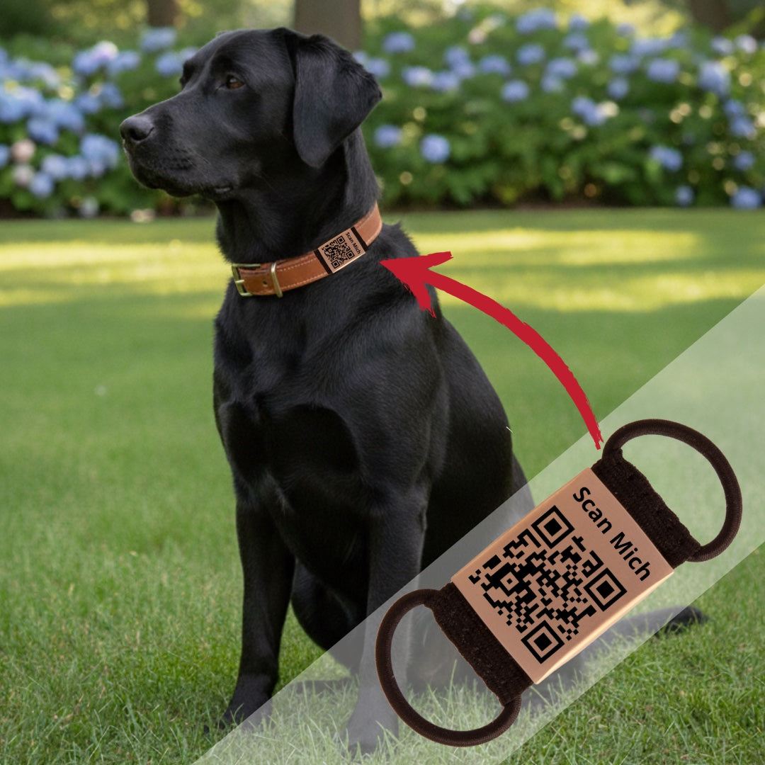 Lautlose Hundemarke mit QR-Code (rosé-goldfarben)
