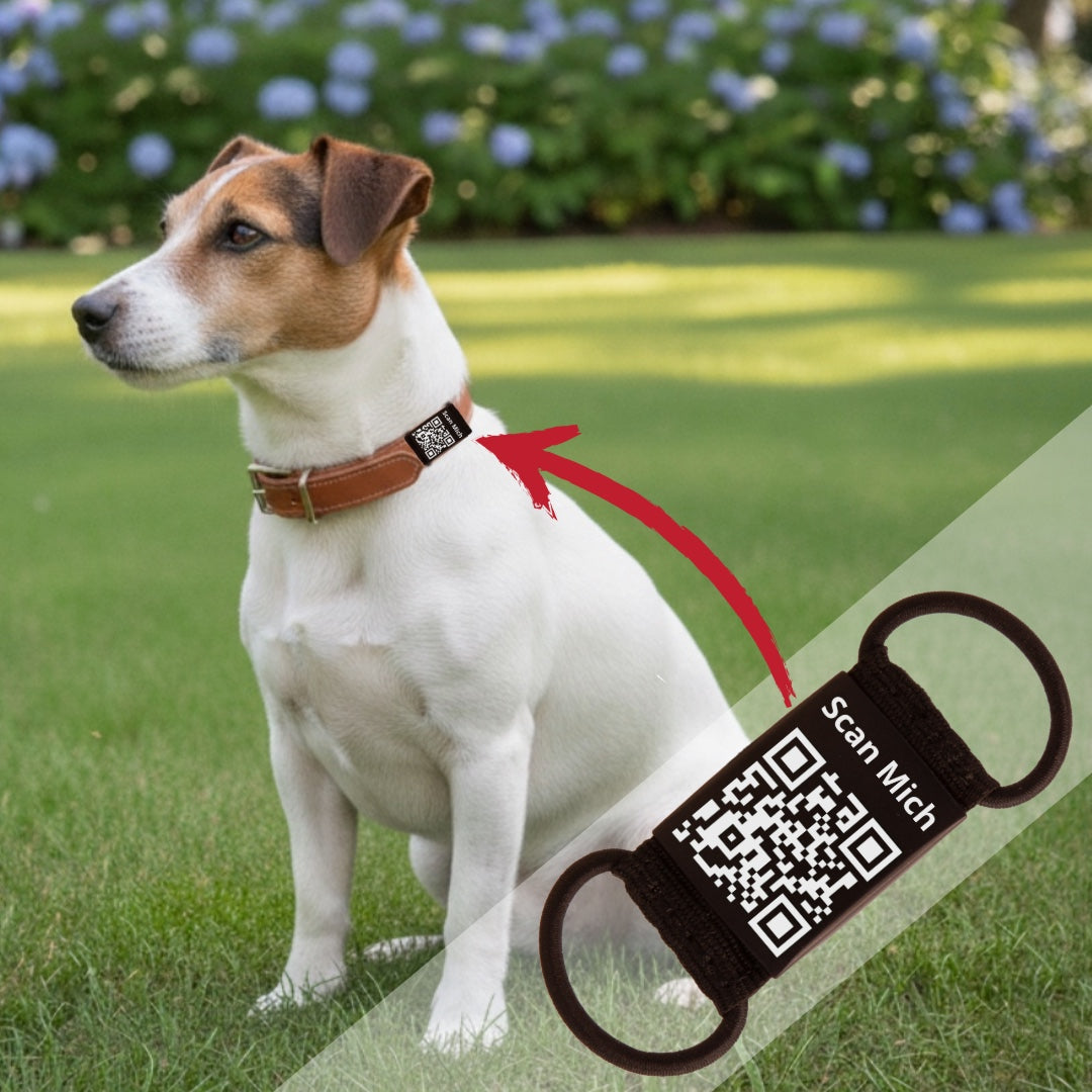 Lautlose Hundemarke mit QR-Code (schwarz)