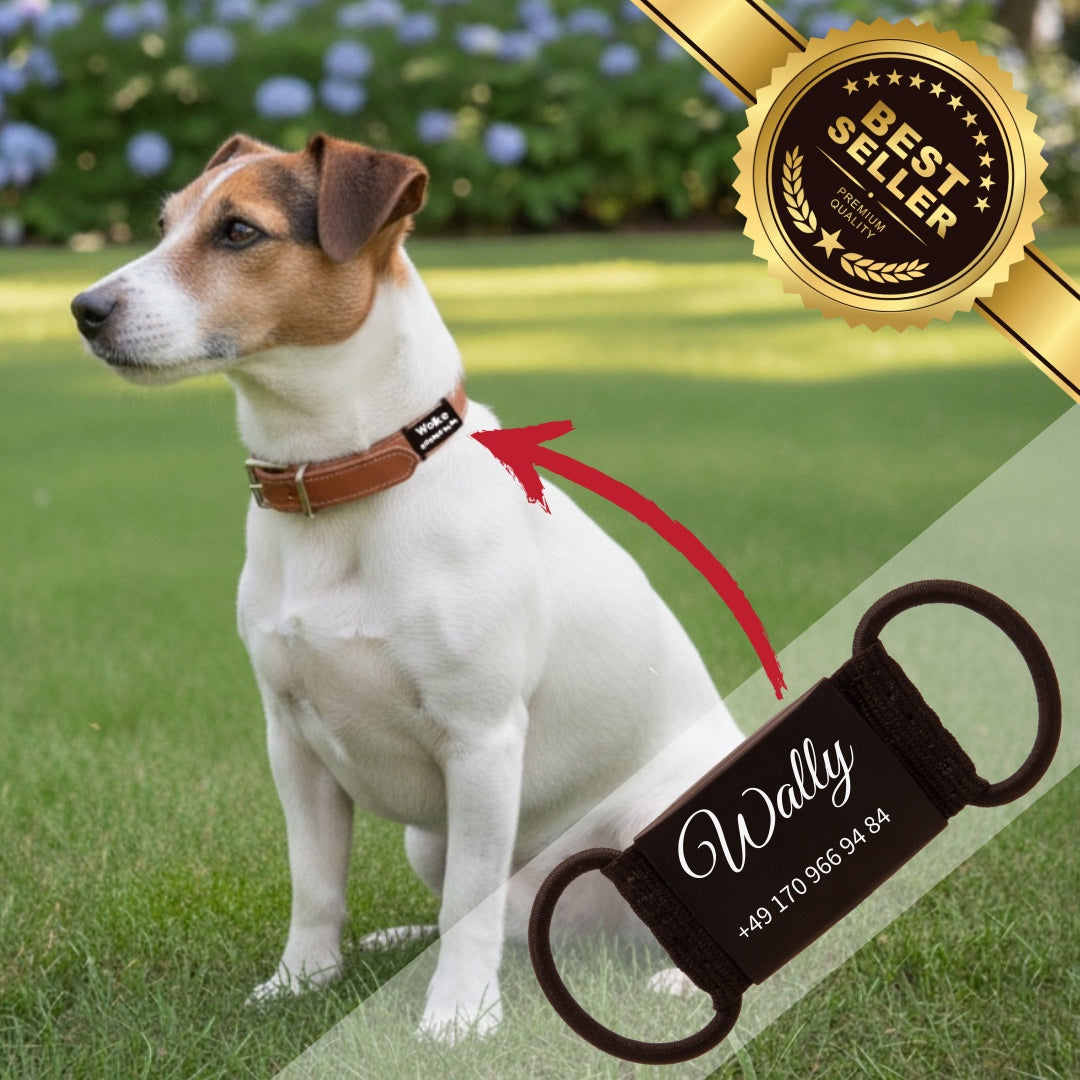 Lautlose Hundemarke mit Gravur – Kein Klappern am Halsband - schwarz