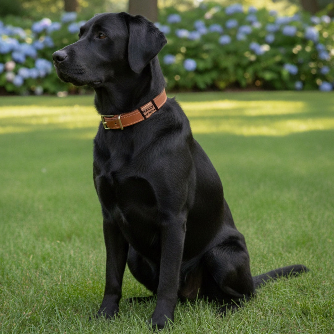 Lautlose Hundemarke mit Gravur (rosé-goldfarben)