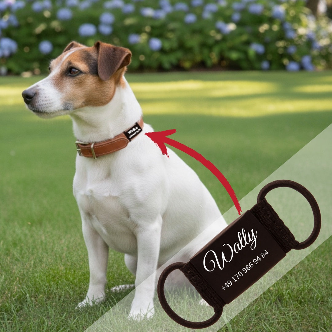 Identification tag for collar (black)