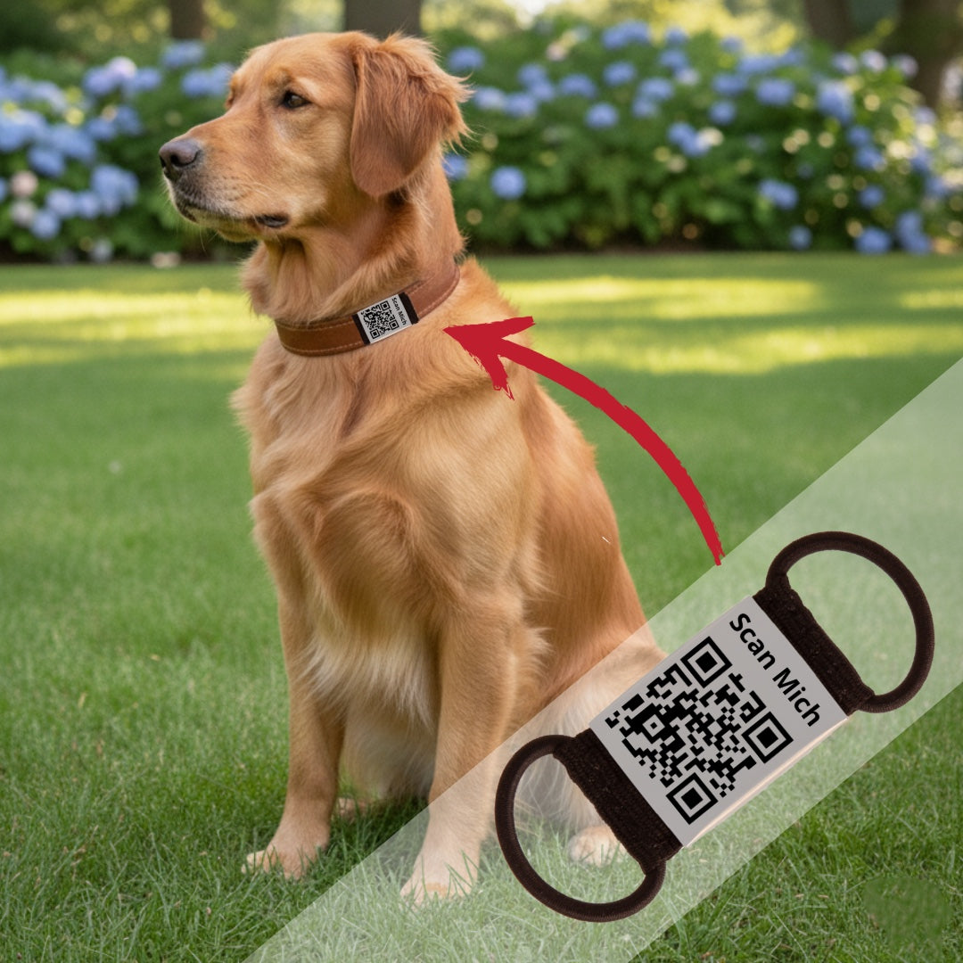 Lautlose Hundemarke mit QR-Code (grau)
