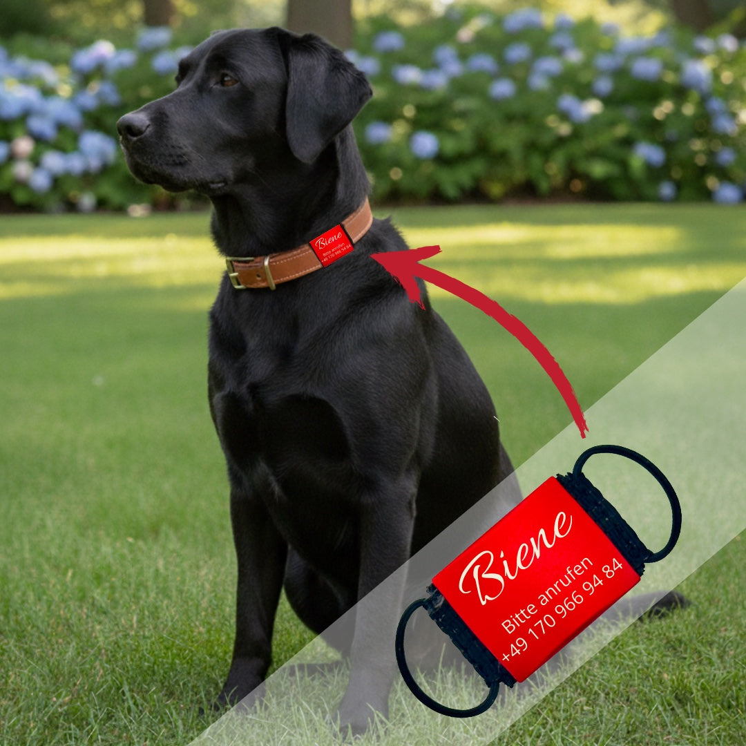 Lautlose Hundemarke mit Gravur – Kein Klappern am Halsband - rot